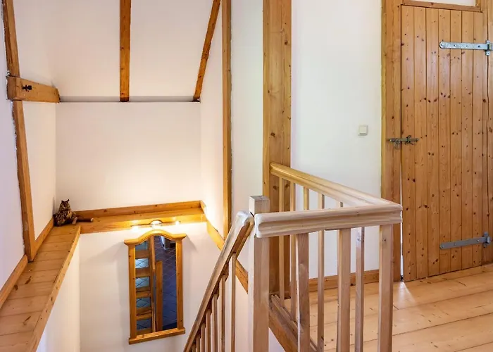 Forsthof Schulte 別荘